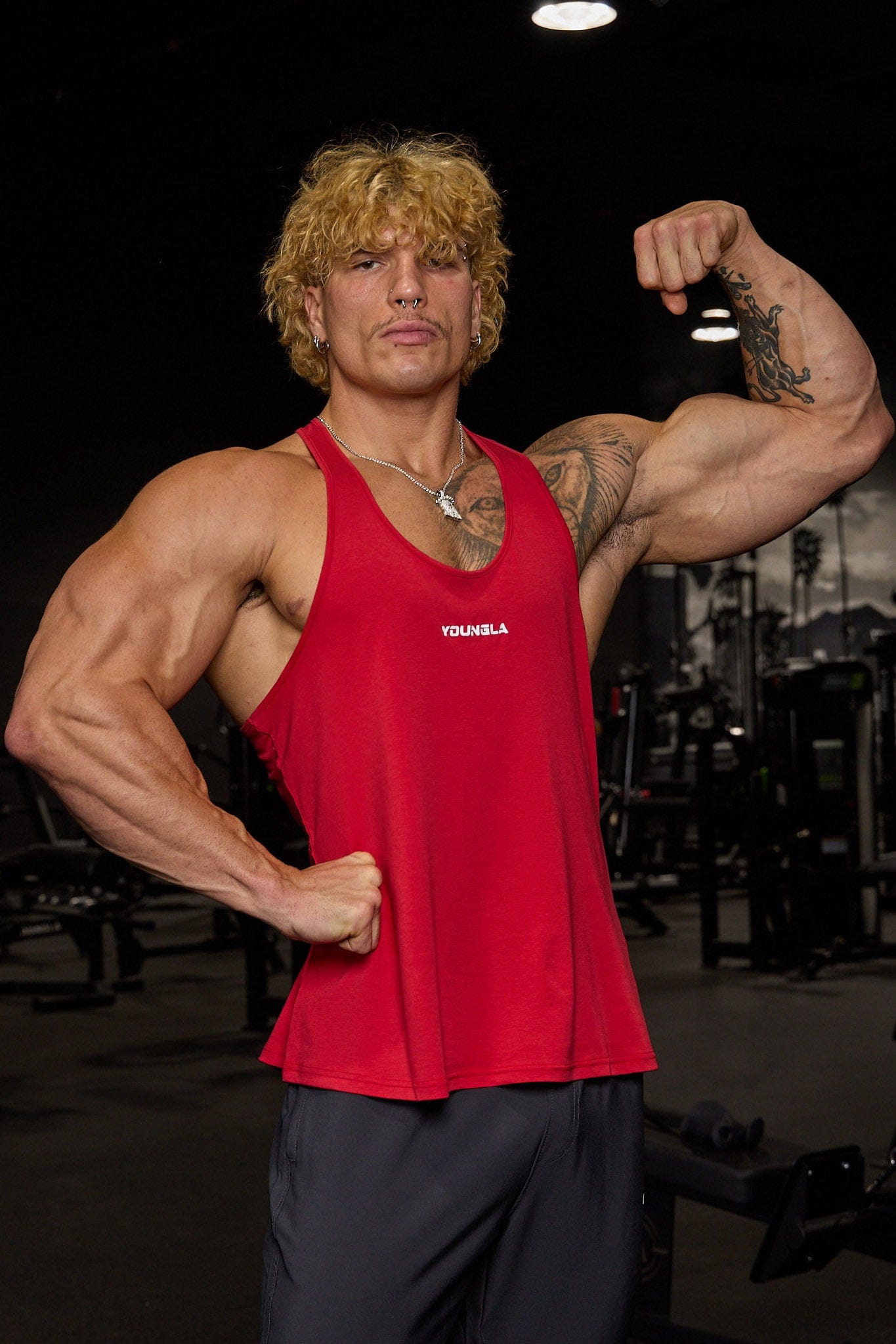 3011 - The Perfect Stringer - Image 3